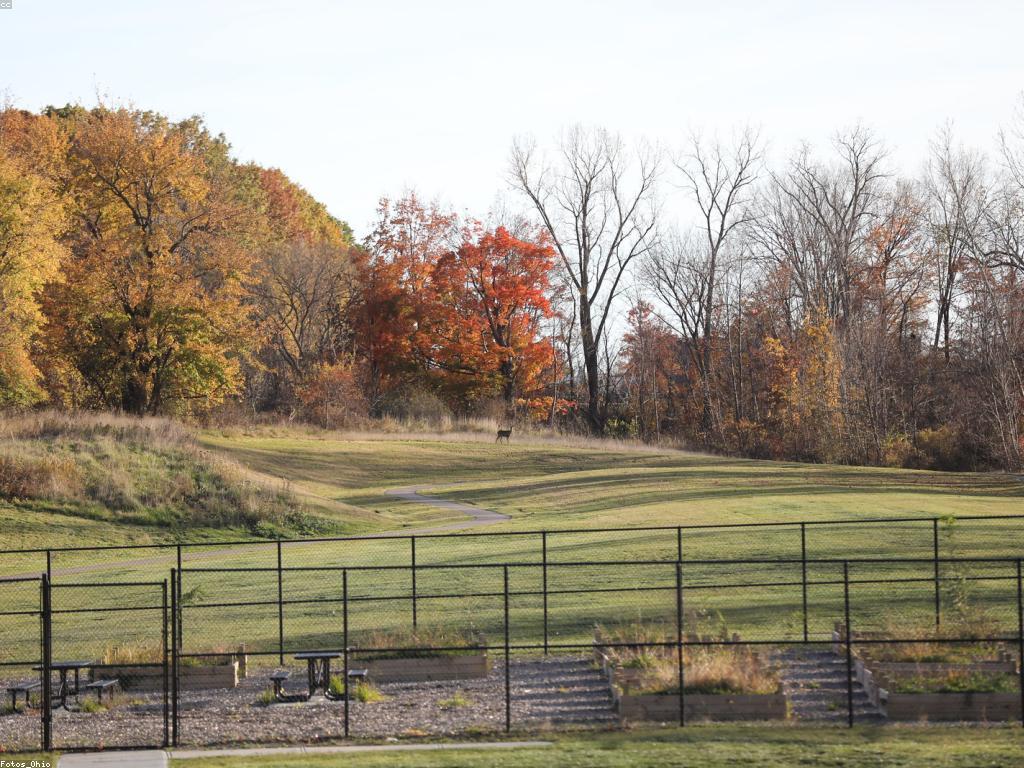 មគ្គុទេសក៍យុទ្ធសាស្ត្រកាស៊ីណូ